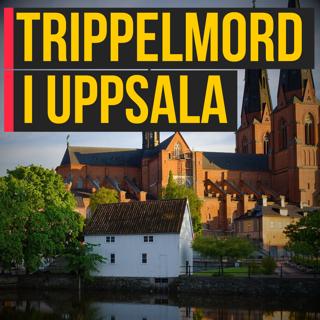 Trippelmord i Uppsala: Sverige är trasigt