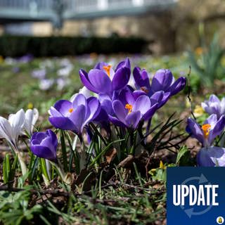 Nyhetssammanfattning – 29 mars 22.00