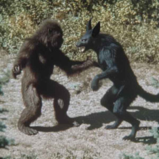 11 TRUE SCARY CREATURE SIGHTING HORROR STORIES