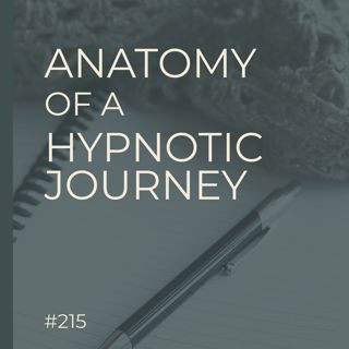 Anatomy of a Hypnotic Journey | Another Lifetime, Higher Self & Suggestion | Seer Sessions #215