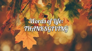 Words of Life: THANKSGIVING