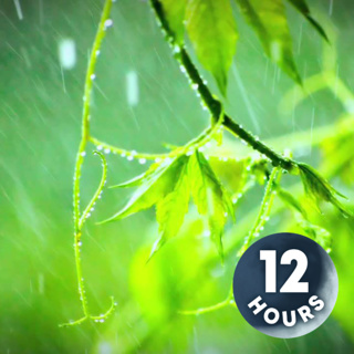12 Hours Rain Sounds for Sleep, Relaxation or Focus