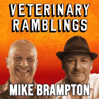 Ep 70: Special Episode: Learn About Mike Brampton