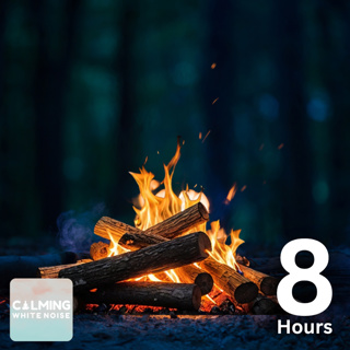 Soothing Nighttime Campfire Ambience for Sleep (8 Hour)