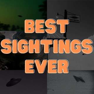 Episode 95: Best Sightings Ever