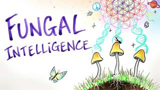Fungal Intelligence - Conscious Mushrooms, Zombie Ants & The Hidden Wisdom of Nature | After Skool