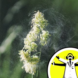 Allergy Science: from antibodies to anaphylaxis