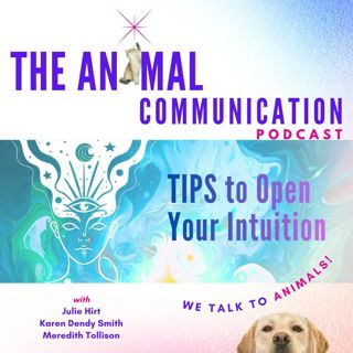 Tips to Open Your Intuition