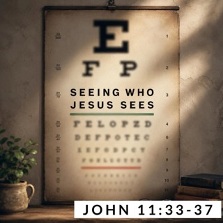 Seeing Who Jesus Sees; John 11:33-37