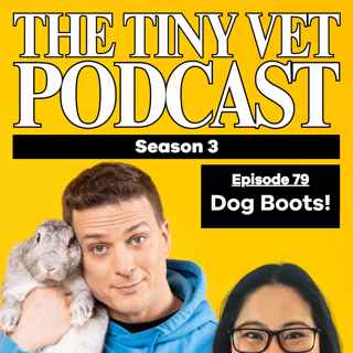 Dog Boots!