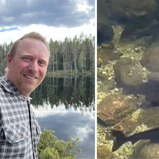 Naturreportaget: Harrarnas hemliga tjärn i Hälsingland