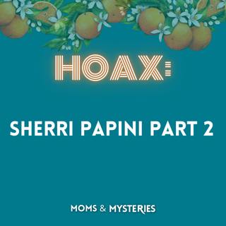 Sherri Papini Part 2: The Unraveling