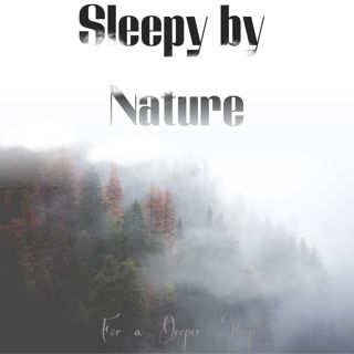 1 Hour Beautiful Rainy Night & Thunder Rumbles Sounds | ASMR Calm Relaxing Nature animals Birds Song for Relaxation Sleeping & Dreaming 🌧️🌲