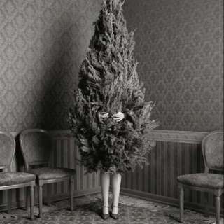 How to Navigate the Holidays: A Closer Look at Christmas and Mental Health Diagnoses