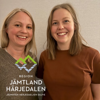 Avsnitt 105. Vem leder psykologin i primärvården när tempot ökar?