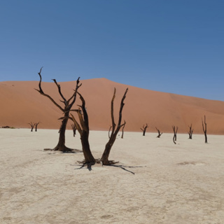 Automatkalla Namibiassa osa 2 | Pikapodi 50