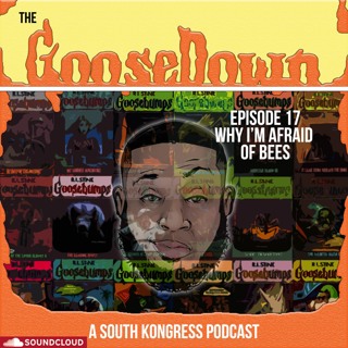 The GooseDown #17 - Why I'm Afraid of Bees