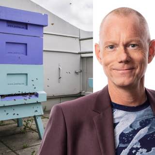 En viktig bisak: Peder Gustafsson, Stockholm