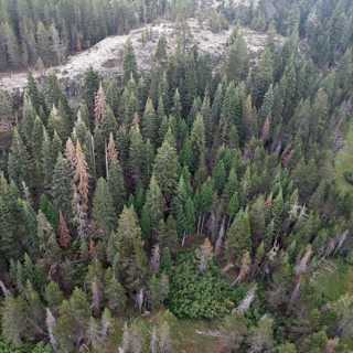 Historic fire seasons are the 'new normal' without 'serious action' on climate change