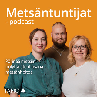 Pörinää metsiin – pölyttäjäteot osana metsänhoitoa