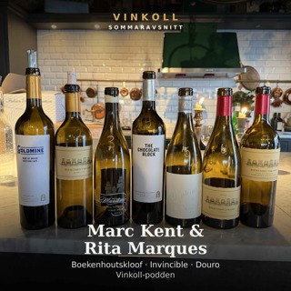 Meningen med vinet - Marc Kent Boekenhoutskloof & Rita Marques Invincible