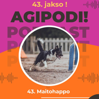 44. Maitohappo