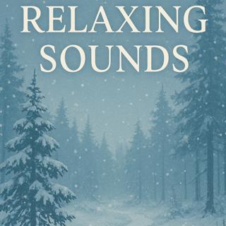 Relaxing Sounds – Quiet Snowy Forest | Sleep, Study, Focus | (8 Hours)