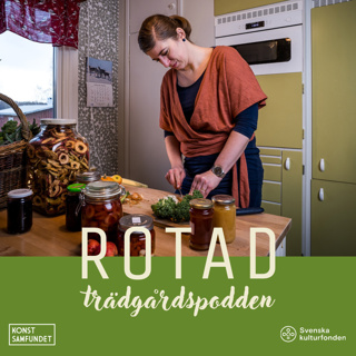 Maxa matförsörjningen och ta vara på din skörd
