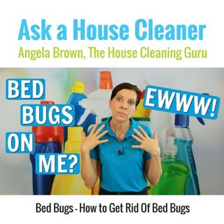Bed Bugs - How to Get Rid Of Bed Bugs