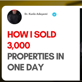 #208 He sold 3,000 properties in 24 hours