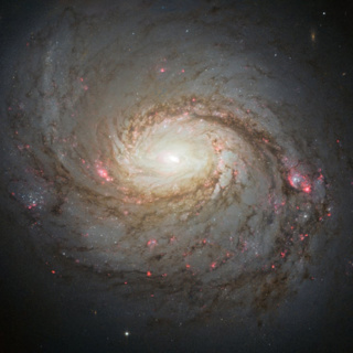 Starbursts and Seyferts: The Mystery of the Missing Gamma Rays