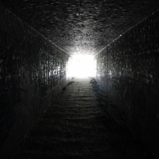 LW #81: Light at the End of the Tunnel (for now) and News from May 15th-28th, 2020