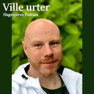 43/24: Ville urter med Kim Are Stende