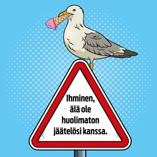 Miten lokin vatsa kestää jäätelöä, kebabia ja ranskalaisia, lintuasiantuntija Heikki Lokki?