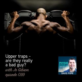 099. Upper traps - are they really a bad guy with Jo Gibson
