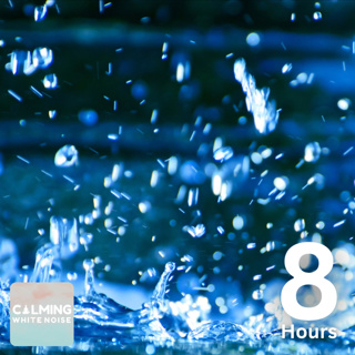 Rain White Noise (8 Hours) | Soothing Rain Sounds for Sleeping and Relaxing