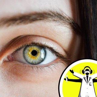 Senses Month: The Science of Sight