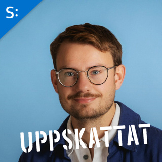 Platt skatt, värdelösa drönare och Javier Milei