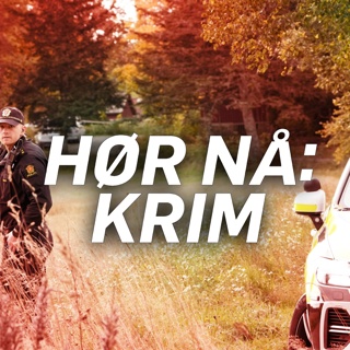 Martin (29) er siktet for jaktdrapene i Halden