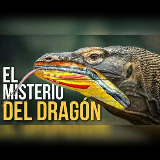 Lo que creíamos del dragón de Komodo ESTABA MAL