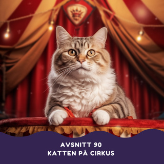 Katten på cirkus