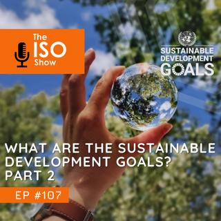 #107 What are the Sustainable Development Goals? Part 2