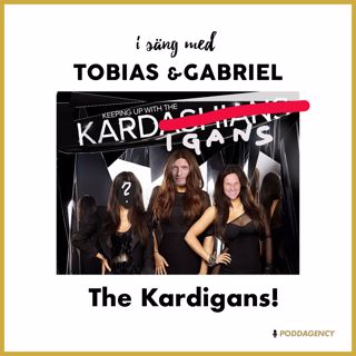246. The Kardigans!