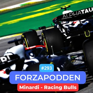 293 - Minardi Racing Bulls