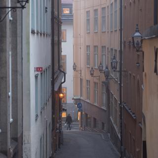 Södermalmsupplopp och kväsarkvantingar