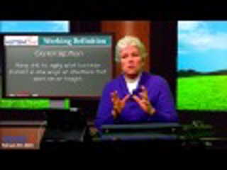 Autism Jargon: Generalization