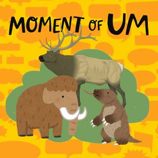 Why were animals bigger in the past?