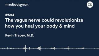 594: The vagus nerve could revolutionize how you heal your body & mind | Kevin Tracey, M.D.