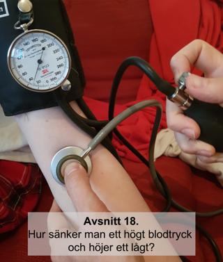 Avsnitt 18. Hur sänker man ett högt blodtryck och höjer ett lågt?