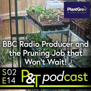 BBC Radio Producer with a Horticultural Dream, Plus, Pruning Job that Won't Wait!